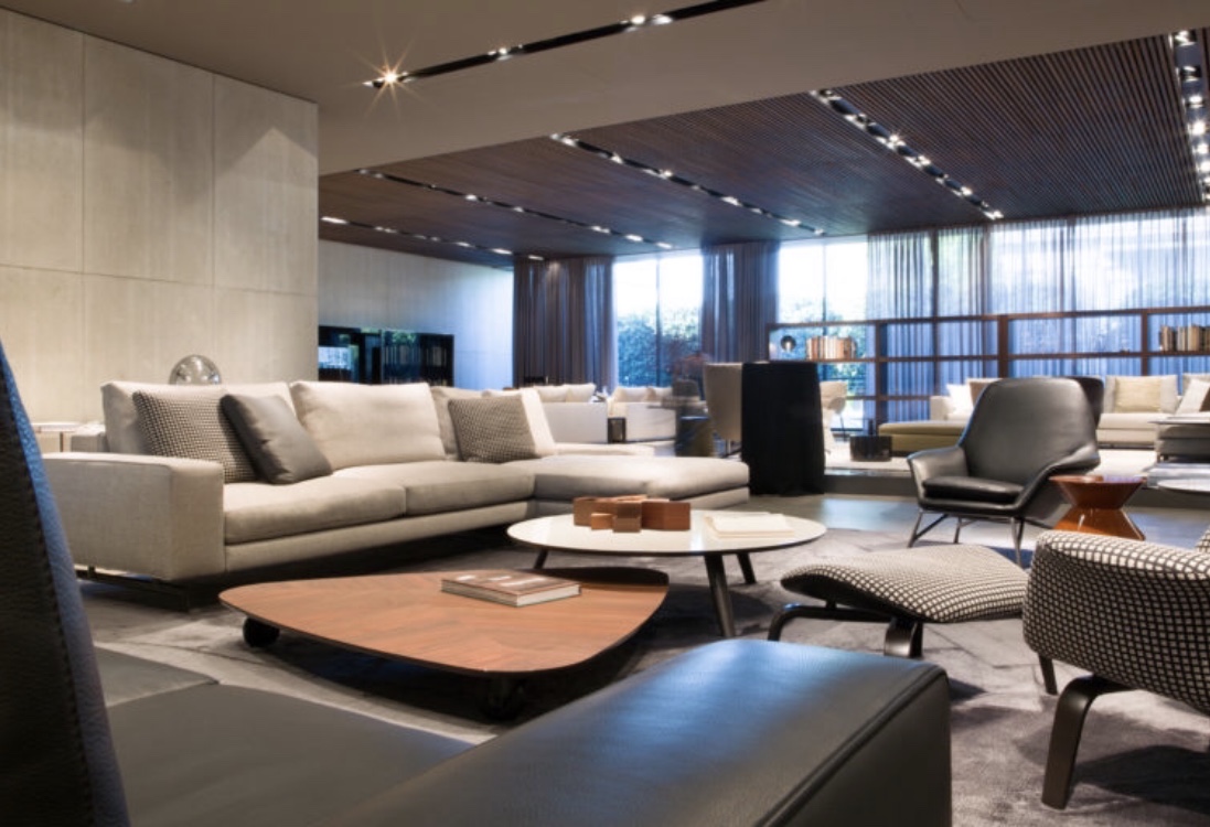 minotti 1